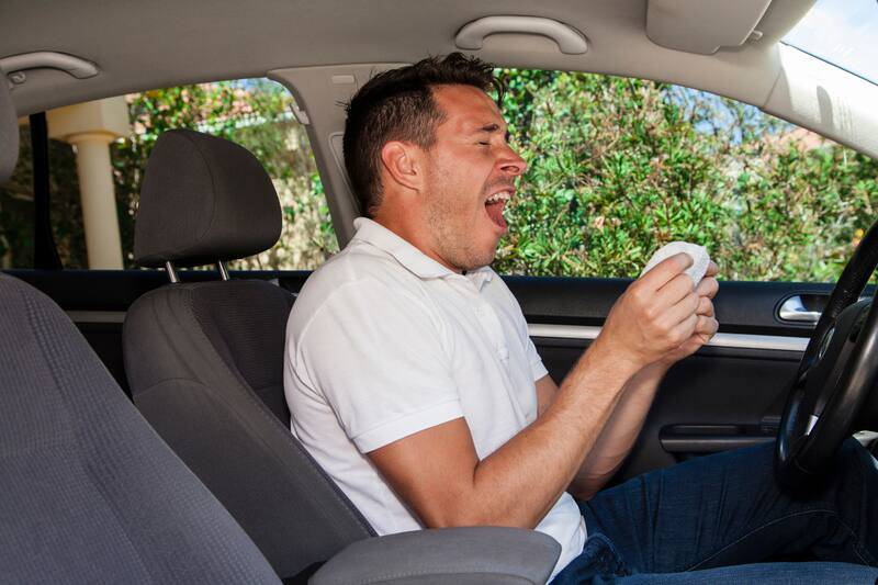 Descubre cuáles son las recomendaciones de este libro.