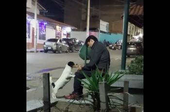 VIDEO | "Matanga dijo la changa": Perro le roba hamburguesa a sujeto sentado y dormido en una banca