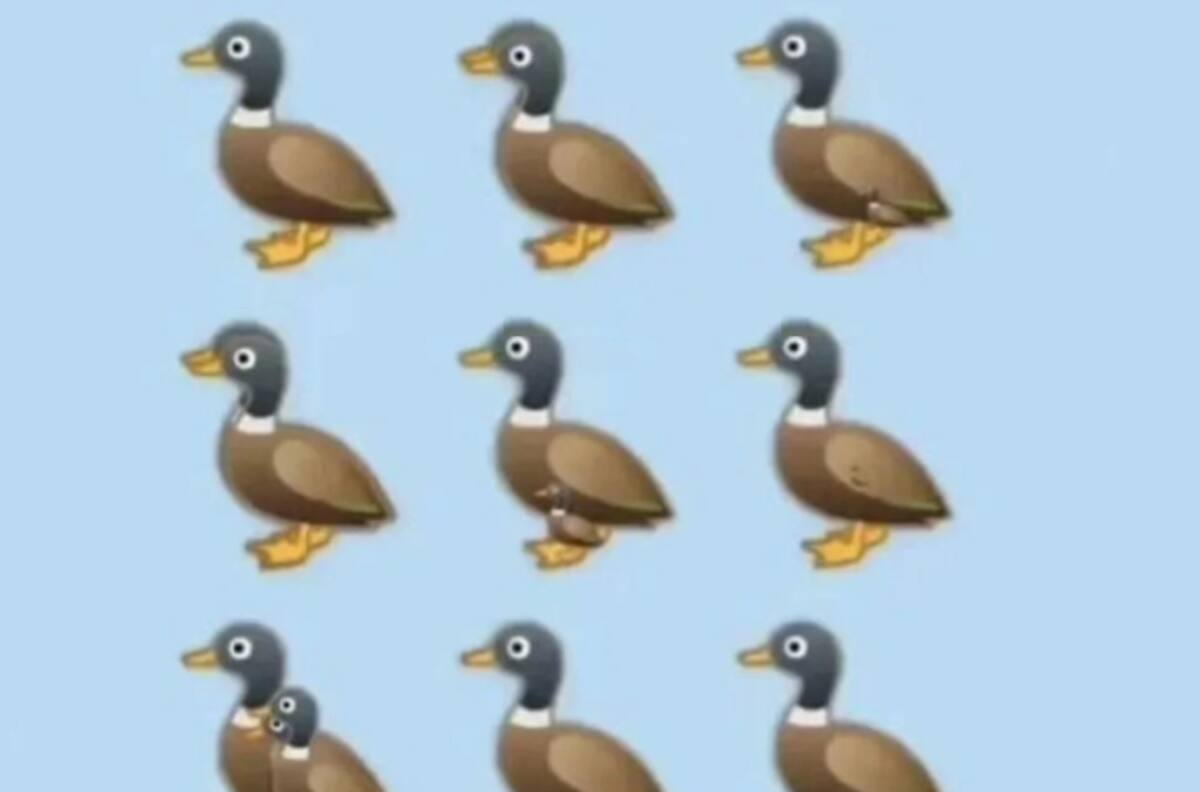 Acertijo visual: Encuentra la cantidad exacta de patos en la imagen en solo 60 segundos
