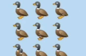 Acertijo visual: Encuentra la cantidad exacta de patos en la imagen en solo 60 segundos