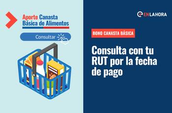 Bono Canasta Básica: Consulta con tu RUT por la fecha de pago de este aporte