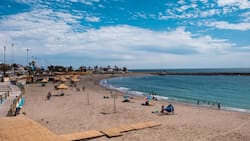 Estas son todas las playas aptas para el baño en la zona norte de Chile: Ideales para visitar antes de que termine el verano