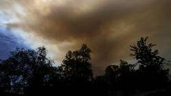 Onemi informó sobre nueve focos de incendios activos a lo largo del país