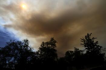 Onemi informó sobre nueve focos de incendios activos a lo largo del país