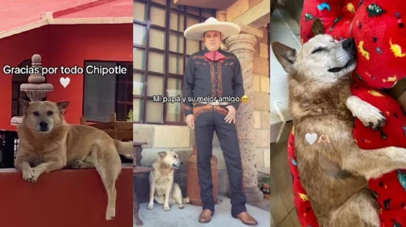 La historia circuló en TikTok. Créditos: @Lousiang