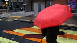 Michelle Adam confirma lluvia para Fiestas Patrias: “Tenemos la llegada de un sistema frontal para el 18”