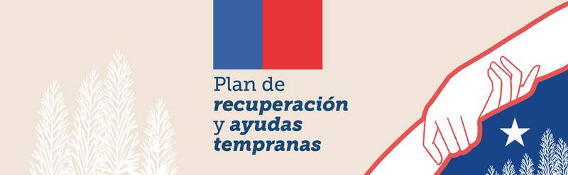 Dentro de las 13 medidas del Plan de Recuperación y Ayudas Tempranas que anunció el Gobierno, se encuentra esta medida que busca entregar viviendas de alto estándar.