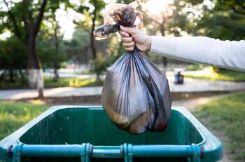 ¿Cómo evitar la aparición de gusanos en la basura? Conoce estas 3 técnicas infalibles