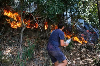 VIDEO | Incendios forestales: hay 70 en combate y 449 mil hectáreas consumidas