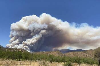 VIDEO | Incendio forestal en Curacaví: Bomberos combate siniestro que ya consumió 120 hectáreas