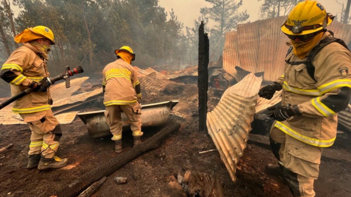 "Levantemos el Sur": TVN emitirá programa especial en ayuda de los damnificados por incendios forestales