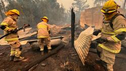 "Levantemos el Sur": TVN emitirá programa especial en ayuda de los damnificados por incendios forestales