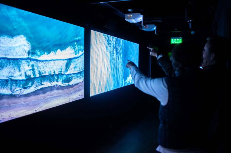 Estos son los 6 mejores planes para realizar durante el último fin de semana de agosto.
Créditos: Wildlama.com.