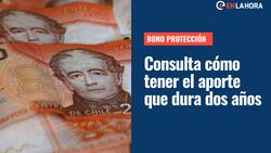 Bono Protección: ¿Cómo obtener el pago a Jefas de Hogar hasta el 2025 y cuál es su monto?