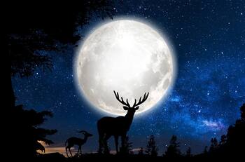Luna de Ciervo: ¿Qué significa y cuándo podré ver este fenómeno astronómico?