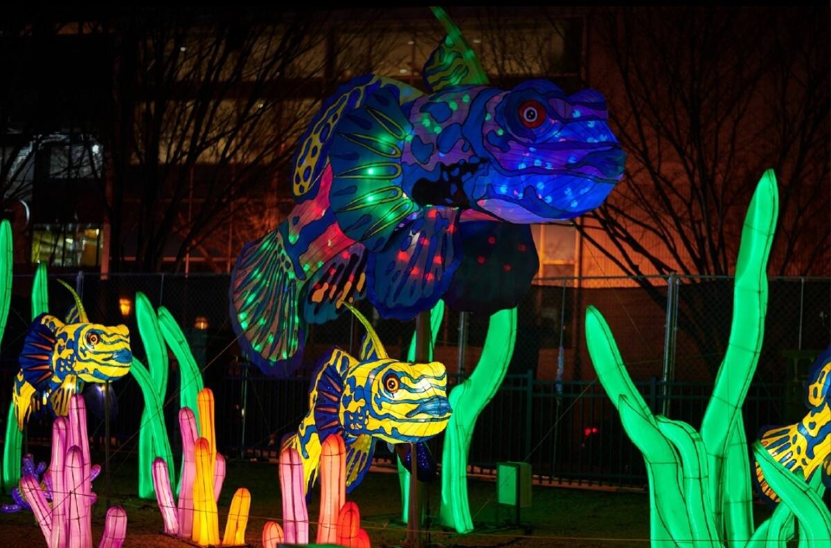 Lantern Festival: ¿Cuándo llega a Chile, hasta qué día estará y cómo comprar entradas para el evento de luces chinas?