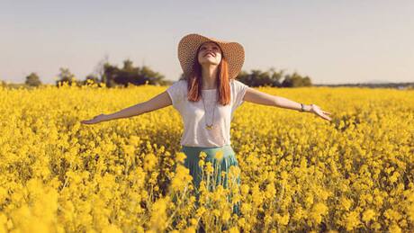 ¿Necesitas dinero? 3 suculentas con flores amarillas para atraer la abundancia