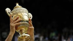 Un misterio jamás resuelto: ¿Por qué hay una piña en el trofeo de Wimbledon?