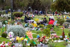 Cementerios de Santiago: dónde están ubicados los principales parques para visitar este 1 de noviembre