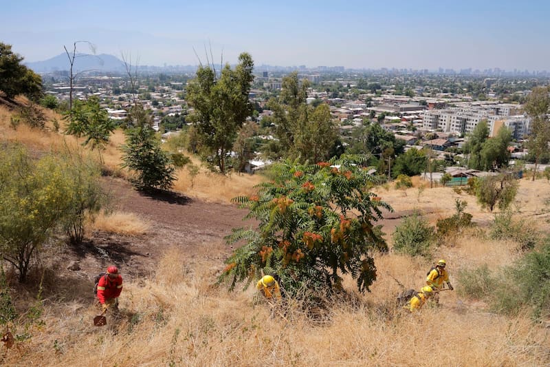 tomó la medida para este fin de semana.