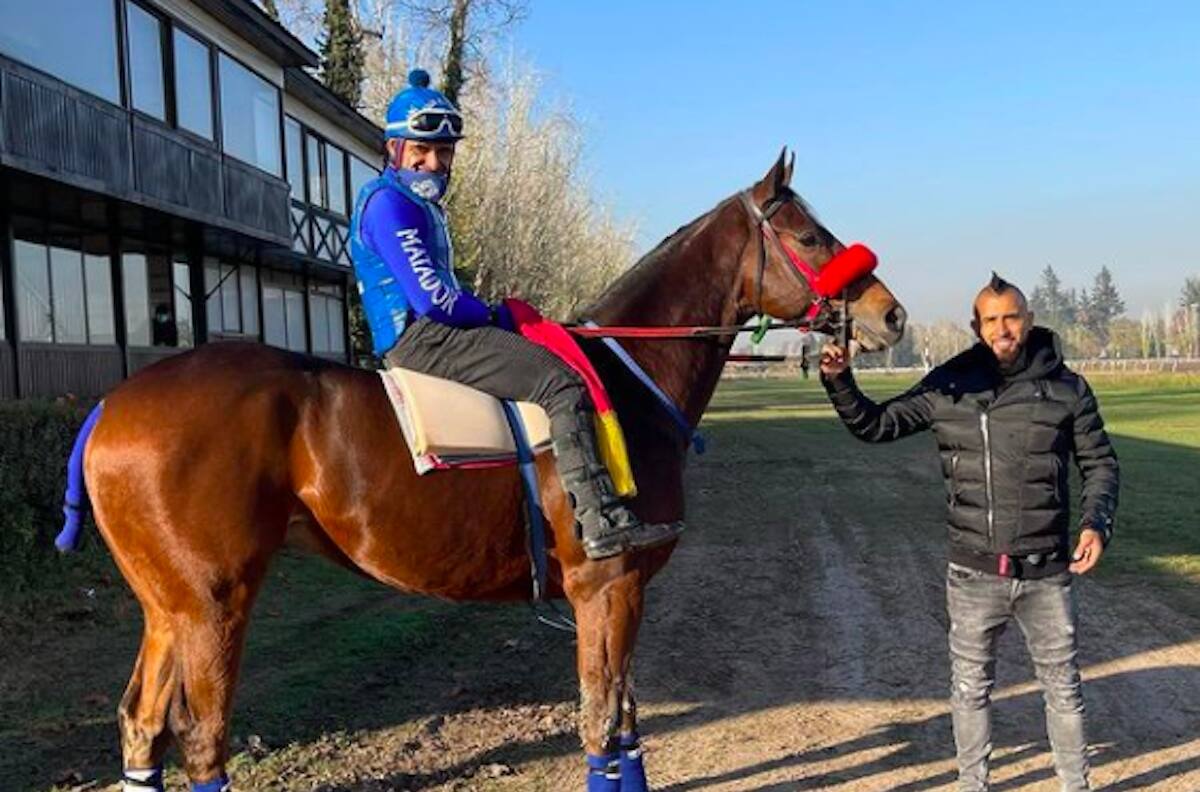 "Rotation": Arturo Vidal y Marité Matus celebraron la llegada de un nuevo caballo para su criadero