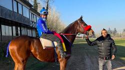 "Rotation": Arturo Vidal y Marité Matus celebraron la llegada de un nuevo caballo para su criadero