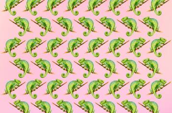 Test Visual: ¿Puedes encontrar al camaleón con la lengua afuera en menos de 15 segundos?