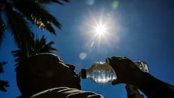 ¿Se acaba el calor extremo con la llegada de marzo? Esto dice Meteochile