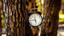 Estas son las dos zonas de Chile que no deben hacer cambio de horario