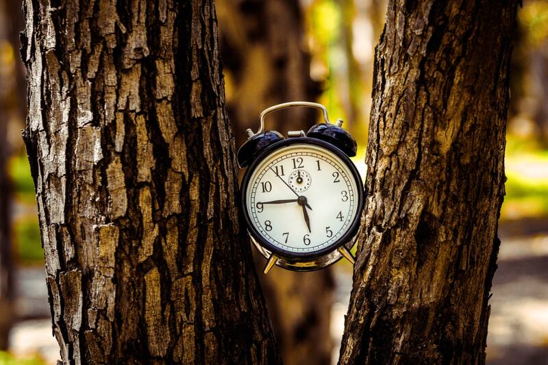 Conoce cuándo se realizará la siguiente modificación.