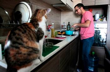 Estudio de la U de Talca detecta incremento en gastos de suministros básicos