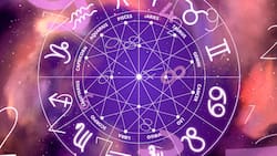 Estos son los 3 signos que terminarán de mejor manera el 2024, según la IA