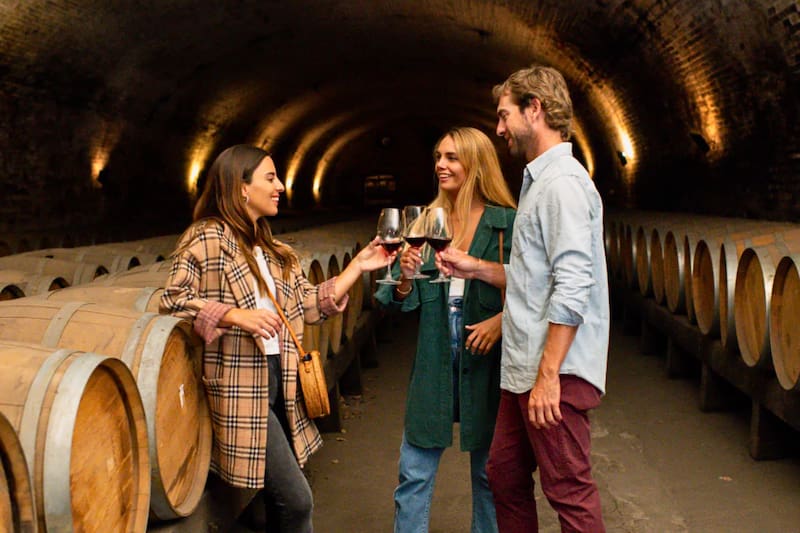 Los tours incluyen recorridos por históricas bodegas y degustaciones. Créditos: Viña Cousiño Macul.
