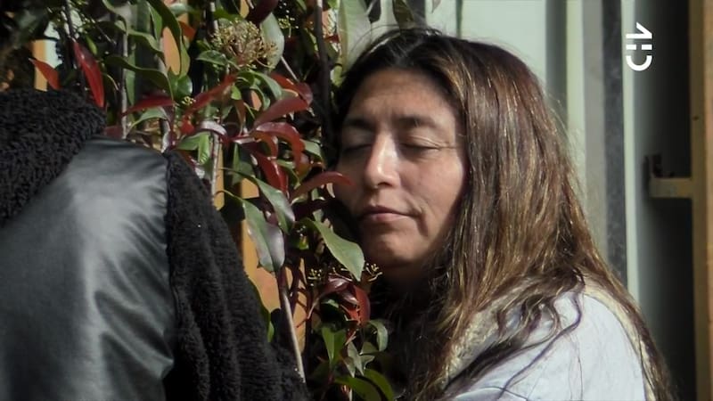 En una sesión de “terapia del árbol” de La Pincoya, Constanza Capelli se sinceró y contó más detalles del deplorable estado mental que está viviendo.