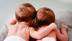 Estos fueron los nombres más populares del 2024, según la Inteligencia Artificial