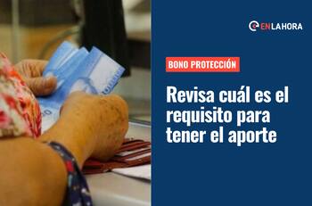 Bono Protección: ¿Cómo recibir el pago mensual de dos años y cuánto dinero entrega?