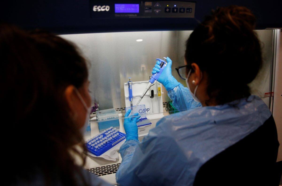 Informe COVID-19: Minsal reportó 291 casos nuevos y una positividad de 1,35% este martes