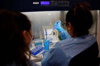 Informe COVID-19: Minsal reportó 291 casos nuevos y una positividad de 1,35% este martes