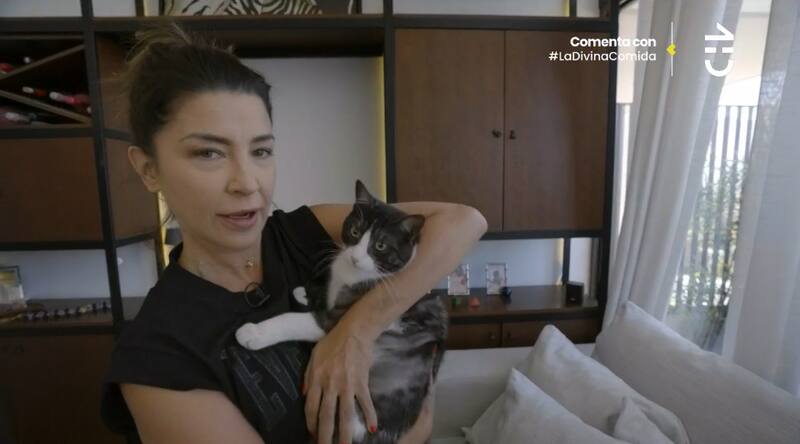 Su gato se salvó del reto tras el desorden de los animales.