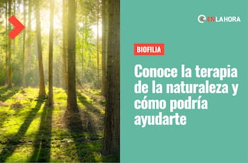 Biofilia: Conoce qué la terapia de la naturaleza y cómo podría ayudarte a mejorar tu salud