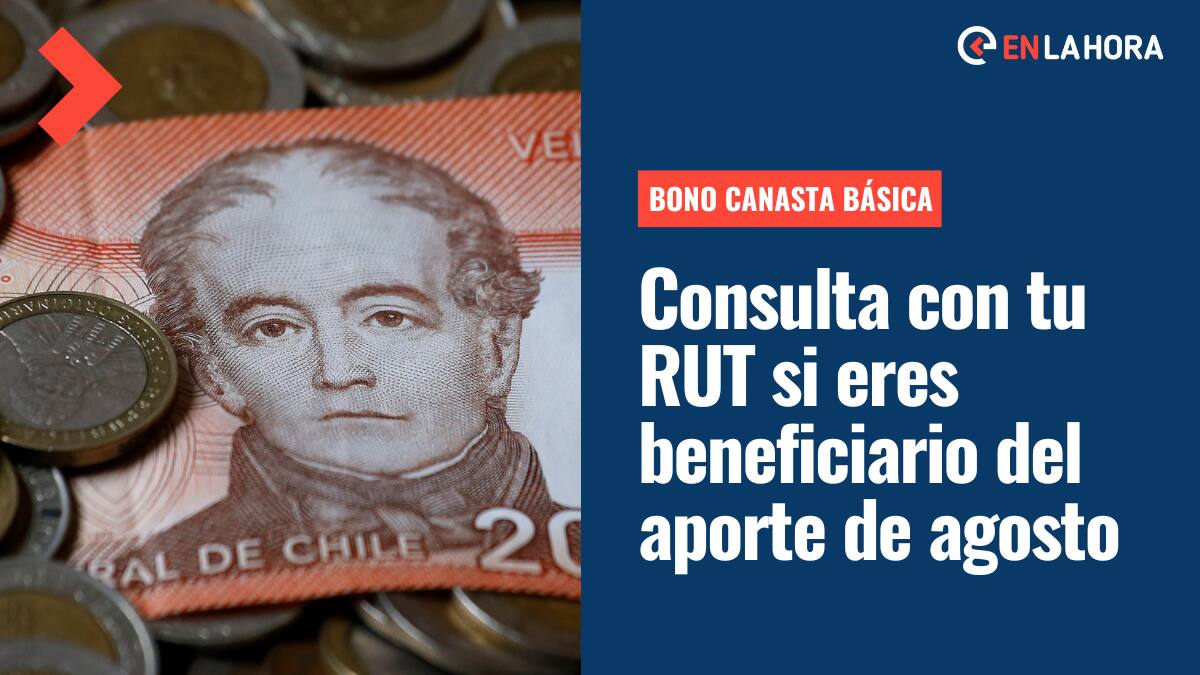 Bono Canasta Básica: Consulta con tu RUT si eres uno de los nuevos beneficiarios de este aporte estatal