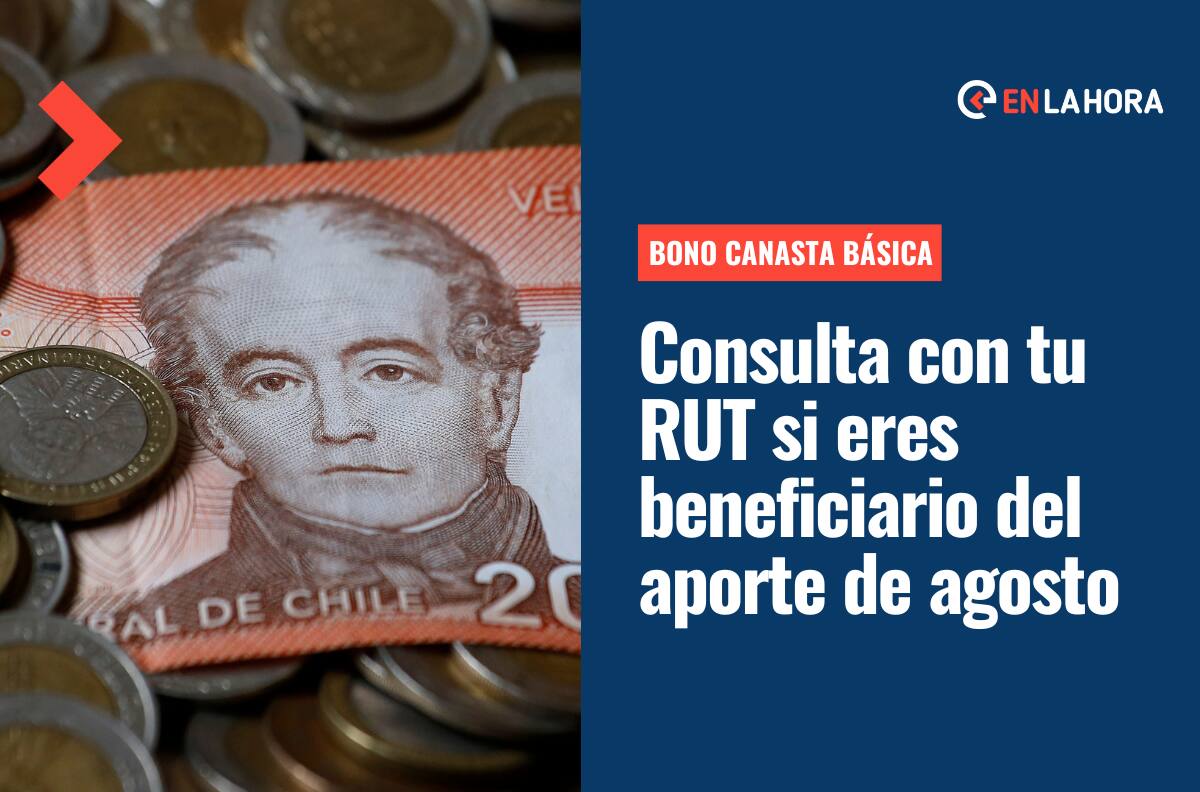 Bono Canasta Básica: Consulta con tu RUT si eres uno de los nuevos beneficiarios de este aporte estatal
