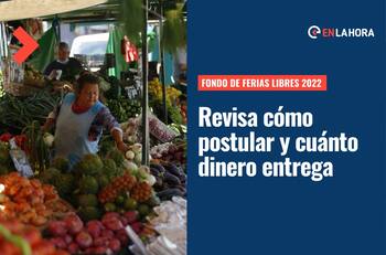Fondo de Ferias Libres Sercotec: ¿Cómo acceder al beneficio y hasta cuándo se puede postular?