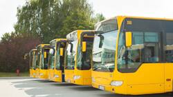 Explicación del juego del camión de la escuela que se ha hecho viral en TikTok