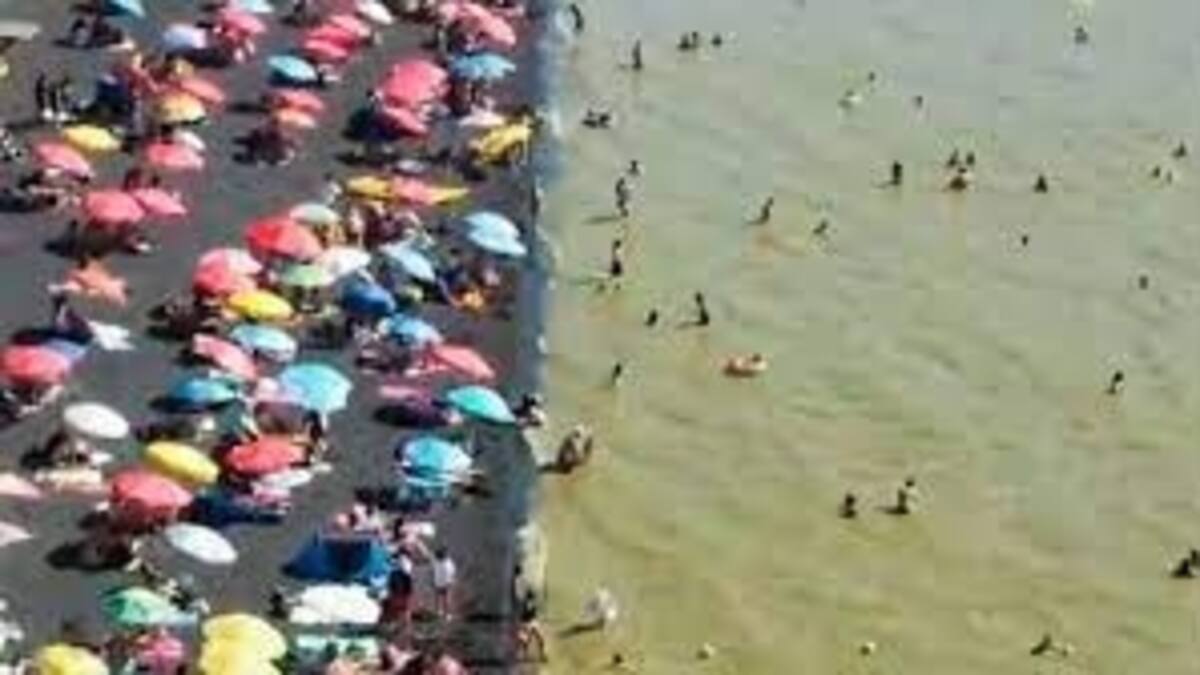 VIDEO | Mira cómo se ve la turbiedad del lago Villarrica por proliferación de algas tóxicas