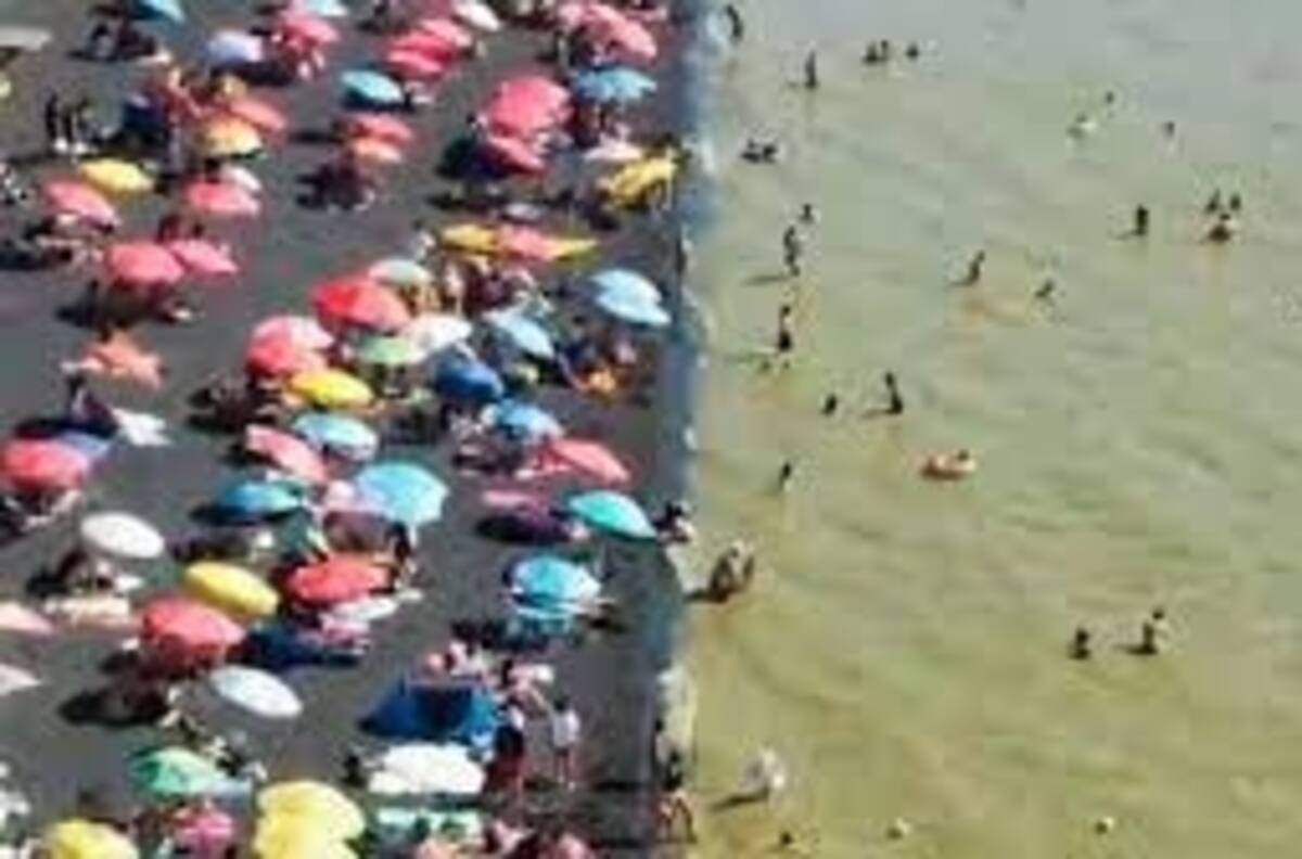 VIDEO | Mira cómo se ve la turbiedad del lago Villarrica por proliferación de algas tóxicas