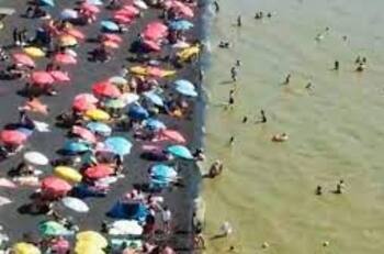 VIDEO | Mira cómo se ve la turbiedad del lago Villarrica por proliferación de algas tóxicas