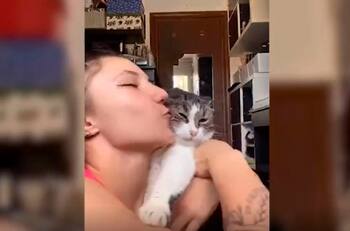 Cat lover: Gimnasta hace ejercicios usando a sus gatos como pesas