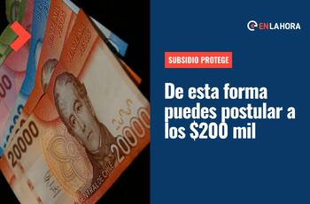 Subsidio Protege: Revisa cómo postular al aporte de $200 mil y los requisitos para solicitarlo