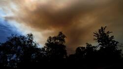 VIDEO | Incendio forestal en Los Sauces: Alerta Roja por siniestro con alto peligro de propagación